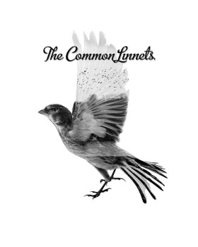 THE COMMON LINNETS - COMMON LINNETS 1-CD THE COMMON LINNETS - COMMON LINNETS 1-CD
