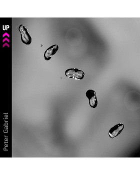 Peter Gabriel - Up 1-CD