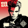 BILLY IDOL - IDOLIZE YOURSELF CD+DVD