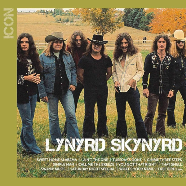 Lynyrd Skynyrd - Icon 1-CD CD plaadid