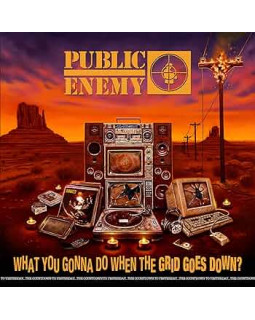 Public Enemy - What You Gonna Do When The Grid Goes Down? 1-CD