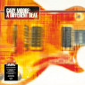 Gary Moore – A Different Beat 2-LP
