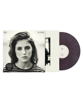 Birdy - Fire Within