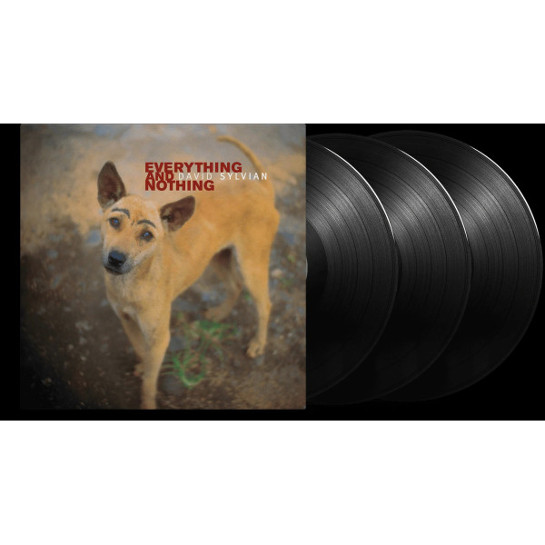 David Sylvian – Everything And Nothing Vinüülplaadid