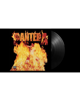 Pantera - Reinventing The Steel