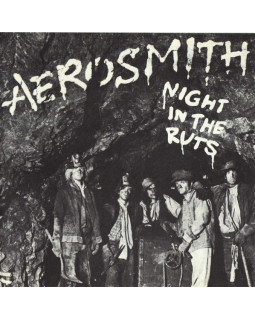 AEROSMITH - NIGHT IN THE RUTS 1-CD