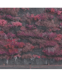 Sleep Token - Even In Arcadia - CD