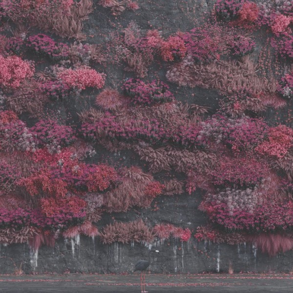 Sleep Token - Even In Arcadia - CD CD plaadid