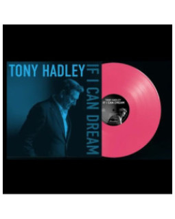 Tony Hadley (Spandau Ballet) - If I Can Dream   