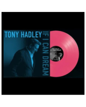 Tony Hadley (Spandau Ballet) - If I Can Dream   