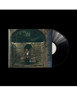 Dermot Kennedy - The Weight of the Woods