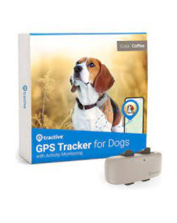 Tractive DOG GPS positsioneerimis seade koertele, beez
