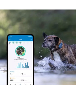 Tractive GPS positsioneerimisseade koertele, Midnight Blue -foto4