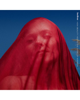 ANE BRUN-HOW BEAUTY HOLDS THE HAND OF SORROW