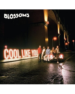 BLOSSOMS-COOL LIKE YOU