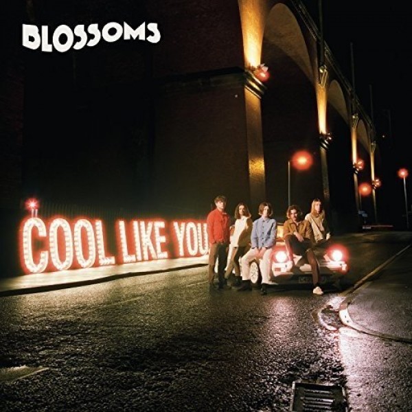 BLOSSOMS-COOL LIKE YOU Vinüülplaadid