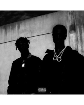 BIG SEAN, METRO BOOMIN-DOUBLE OR NOTHING