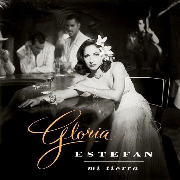 Gloria Estefan - Mi Tierra Vinüülplaadid