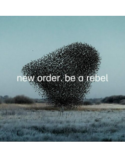 New Order - Be a Rebel, 12''single Holland