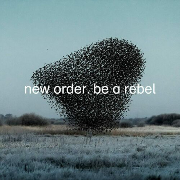 New Order - Be a Rebel, 12''single Holland Vinüülplaadid