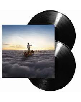 PINK FLOYD-THE ENDLESS RIVER
