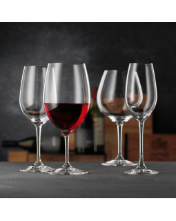 Vivino šampanjaklaaside komplekt. 4tk, 260ml-foto2