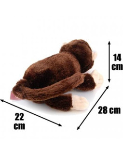 Roffle tüürimees-foto2