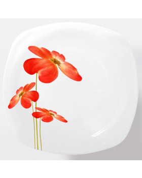 Maestro taldrik Maestro taldrik