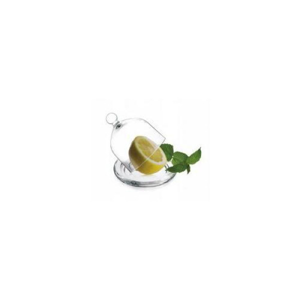 Galicja citrus container