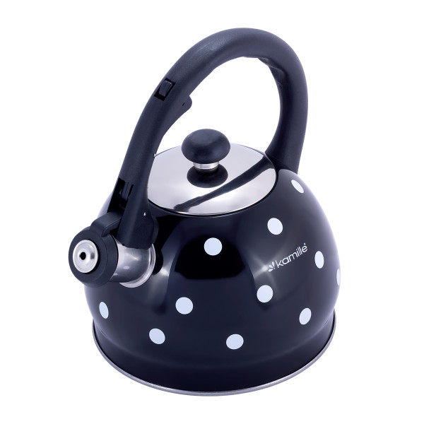 Roostevabast terasest veekeetja vilega, 2,0 l (must), 1070 bl, kamille