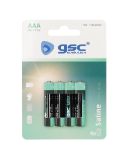 Gsc evolution heavy duty r03 (aaa) patareid, 4 tk/blisterpakendis, 106000021
