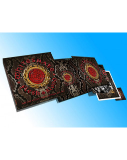 Whitesnake - Flesh & Blood, Box Set, Limited Edition