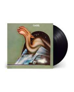 CAMEL-CAMEL