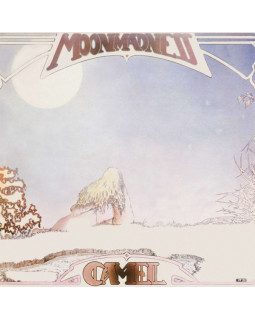 CAMEL-MOONMADNESS