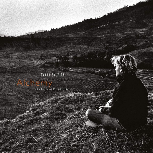 DAVID SYLVIAN-ALCHEMY: AN INDEX OF POSSIBILITIES  Vinüülplaadid