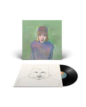 DAVID SYLVIAN-BLEMISH