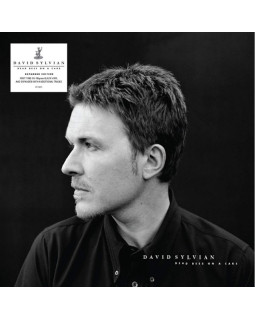 DAVID SYLVIAN-DEAD BEES ON A CAKE