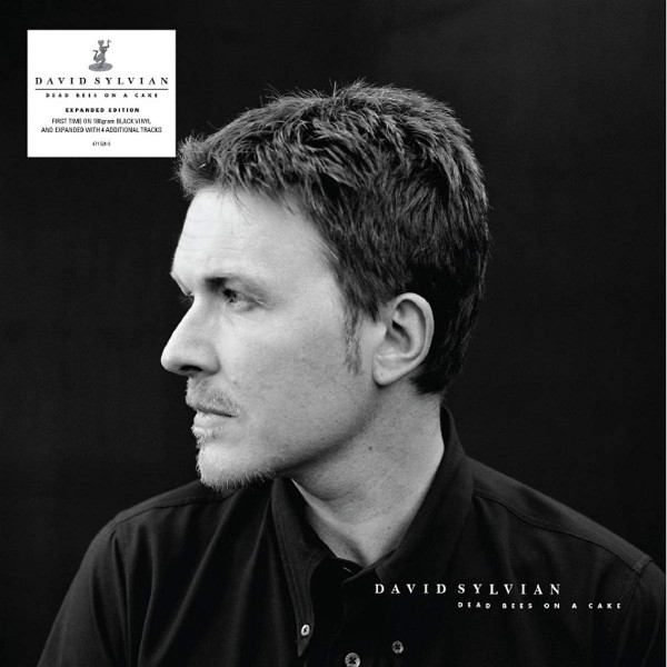 DAVID SYLVIAN-DEAD BEES ON A CAKE Vinüülplaadid