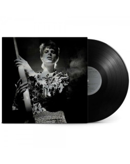 David Bowie-Rock´N´Roll Star!