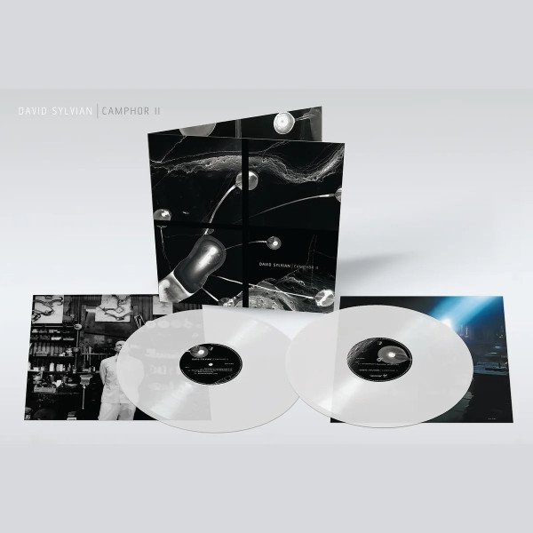 David Sylvian – Camphor II Vinüülplaadid