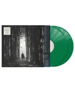 Dermot Kennedy - The Weight of the Woods