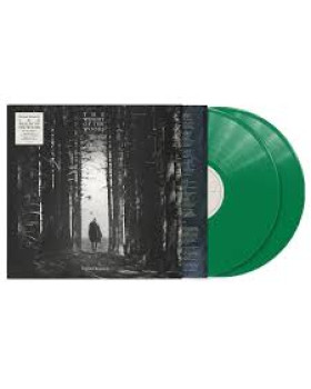 Dermot Kennedy - The Weight of the Woods