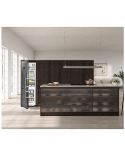 Külmik liebherr, 201 cm, 259/104 l, 34 db, nofrost, puutetundlik, must-foto3