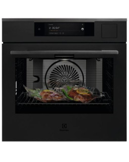 Auru-kombiahi electrolux, proassist steampro 900, 70 l, matt must