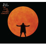 David Gilmour - The Luck And Strange Concerts, 2CD