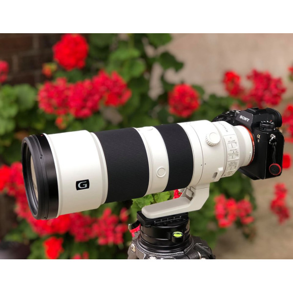 Sony fe 200-600mm f/5.6-6.3 g oss