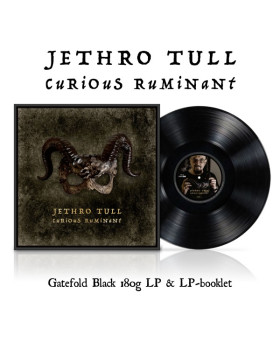 Jethro Tull - Curious Ruminant 
