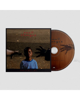 Michael Kiwanuka - Small Changes - CD