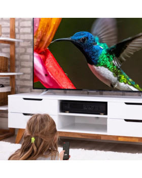 Teler Manta 24LHS122T-foto8