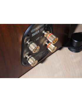 Monitor Audio Silver 300 7G, Põrandakõlarid-foto2